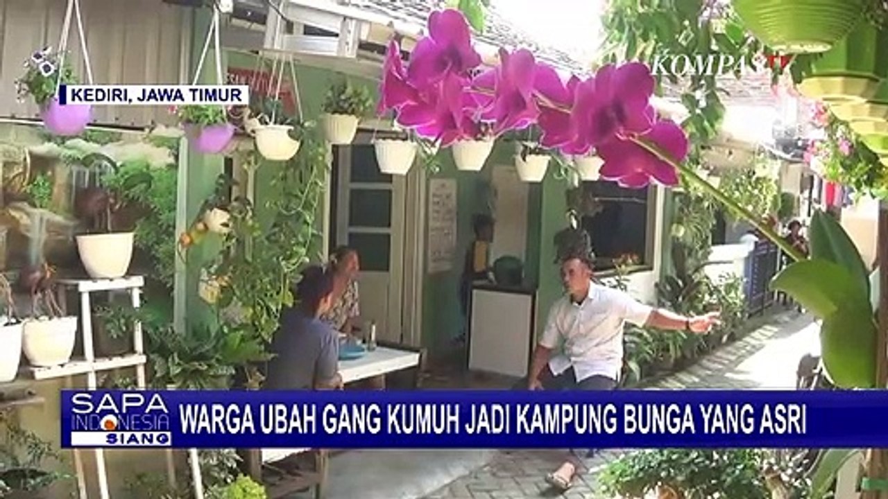 Warga Kediri Sulap Gang Kumuh jadi Lebih Asri dengan Bunga-bunga dan Tanaman Obat!