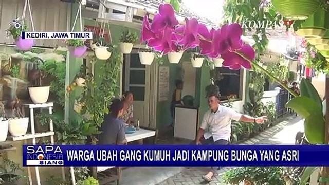 Warga Kediri Sulap Gang Kumuh jadi Lebih Asri dengan Bunga-bunga dan Tanaman Obat!
