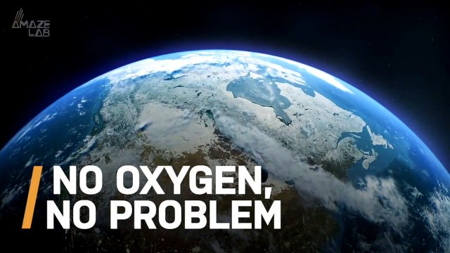 Scientists Find New Type of Organism in One of Earth’s Most Inhospitable Places