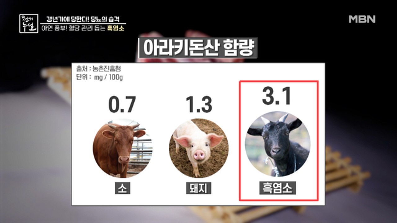아연 풍부! 갱년기 혈당 관리 돕는 검은 보석 '흑염소'
