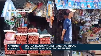 Harga Telur Ayam di Pangkalpinang  Menyentuh Harga 1900 Perbutir