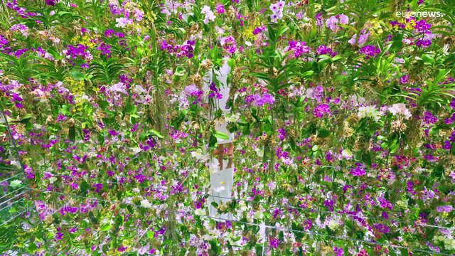 В Абу-Даби откроют музей для философов и любопытных