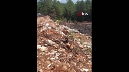 Alanya'da ormanı yakan şüpheli suçüstü yakalandı