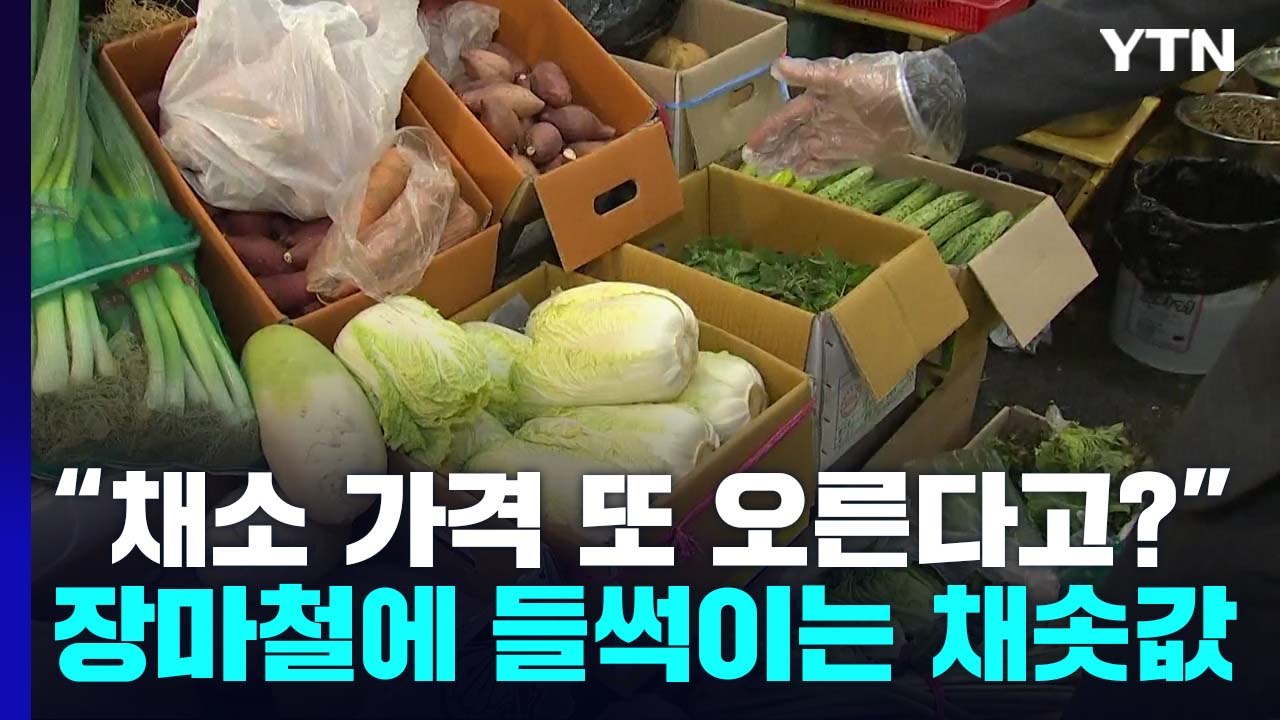 "채소 가격 또 오른다고?"...장마철에 들썩이는 채솟값 / YTN