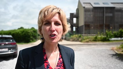 Permis de détention d'un animal en Wallonie : Céline Tellier annonce une période d'adaptation