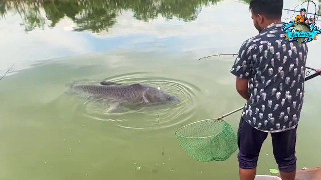carp fishing videos | hunting and fishing videos | black carp fish hunting
