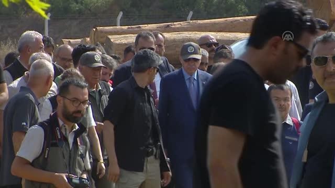 Cumhurbaşkanı Erdoğan: "Dalaman, Fethiye, Köyceğiz ve Seydikemer'de çıkan orman yangınları kontrol altına alındı"