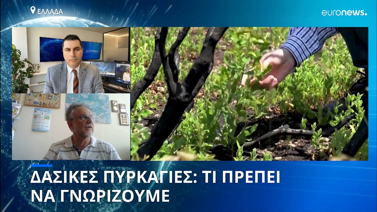 ΣΥΝΕΝΤΕΥΞΗ: Τι πρέπει να γνωρίζουμε για τις δασ...