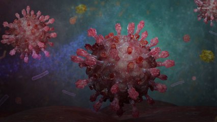 Un nouveau variant alerte les autorités sanitaires