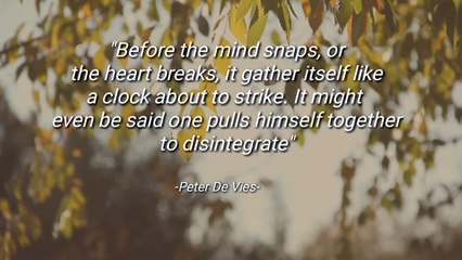 BEST QUOTES BY PETER DE VIES AMERICAN NOVELIST