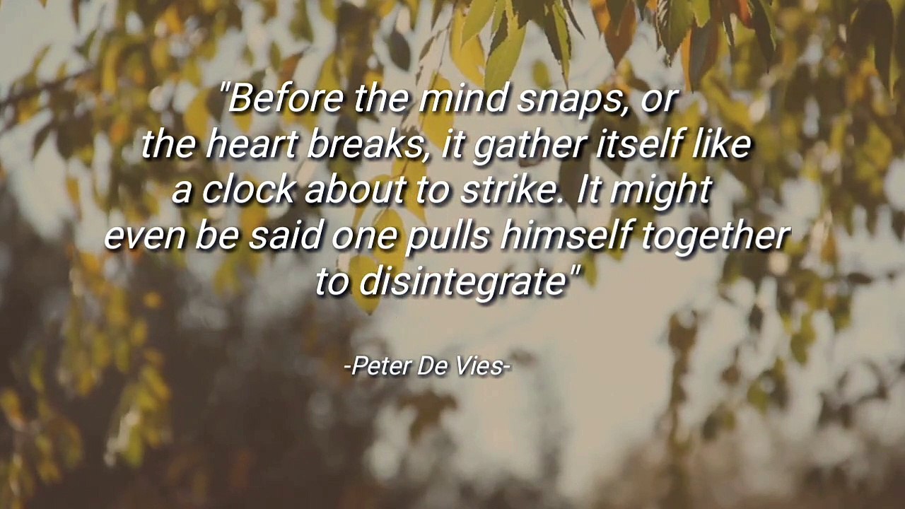 BEST QUOTES BY PETER DE VIES AMERICAN NOVELIST
