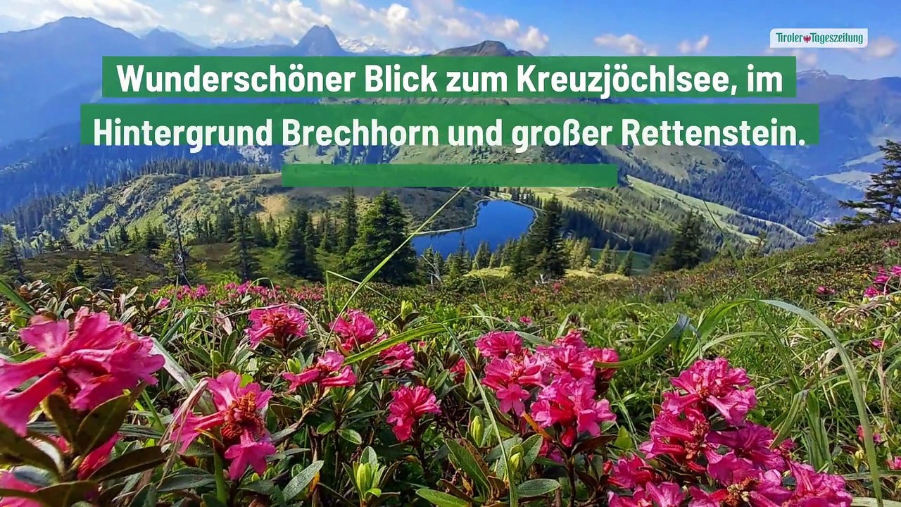 Die schönsten Bilder der TT-Leser aus dem Frühsommer