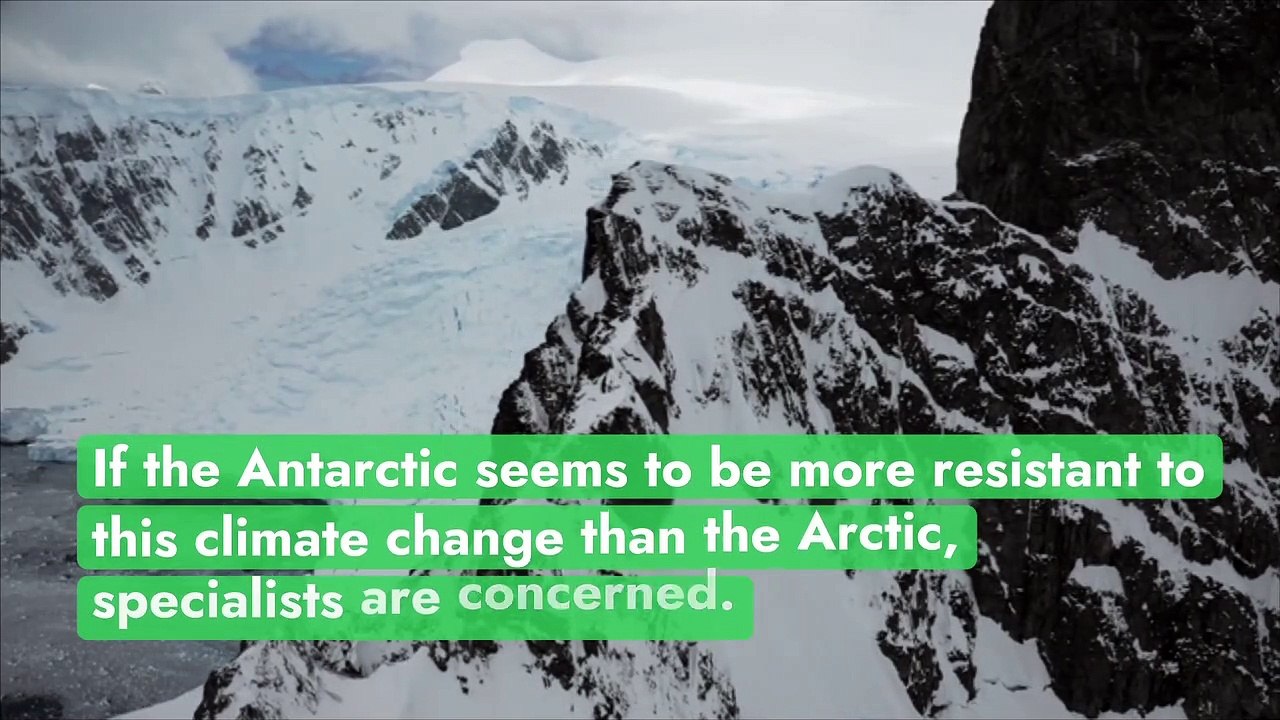 The surface area of the Antarctic ice bank is at its lowest in over 40 years