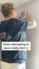 Rescuing a Baby Bird in the Wall