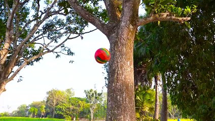 Top New Funny Videos 2022 ● People doing funny and stupid things Episode 137 By Funny Day