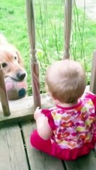 Funny Baby Videos playing  Short
