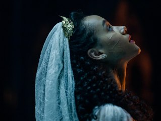 The Invitation (Le Bal de l'Enfer): Trailer HD VO st FR/NL