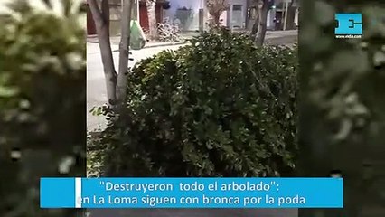 "Destruyeron  todo el arbolado": en La Loma siguen con bronca por la poda