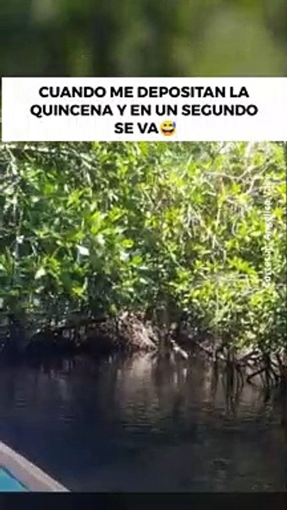 ¡Fue una ilusión!