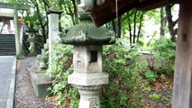 Japanese Shrine in a Forest