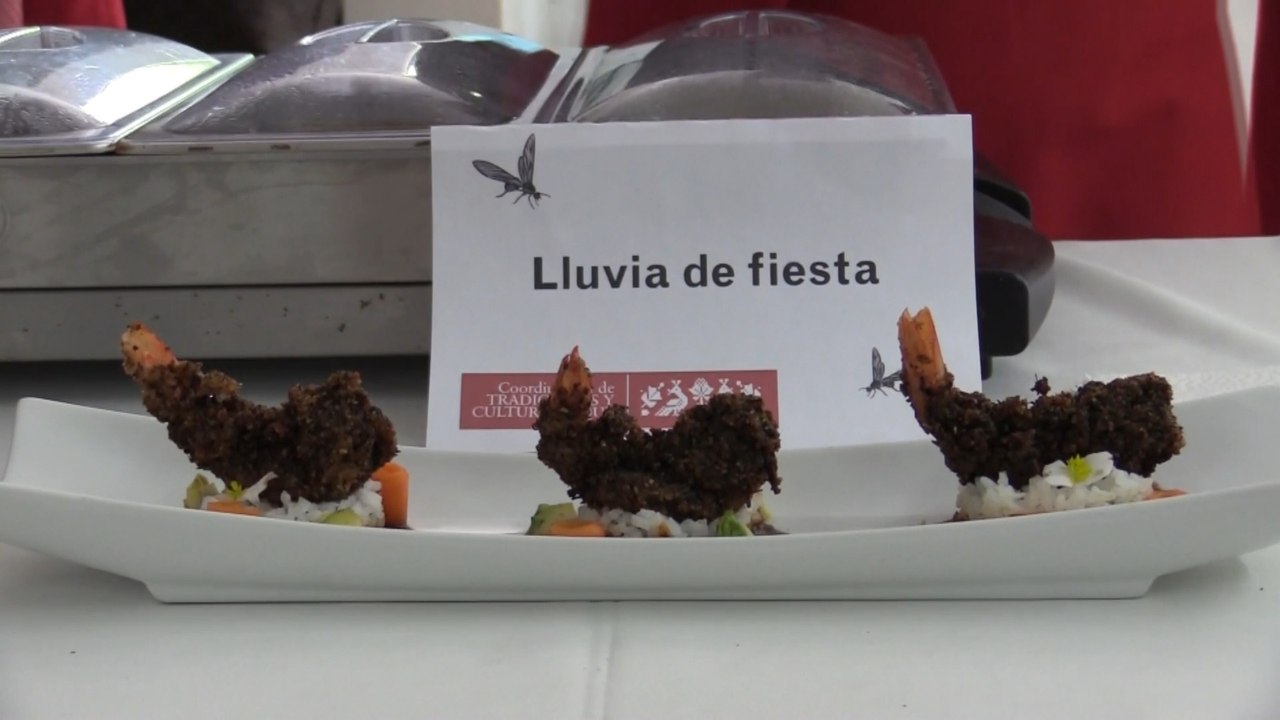 Dedican feria gastronómica a la hormiga comestible Nucú en México