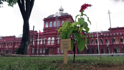 GOVT SEEKS TO RENEW BAIL BILL