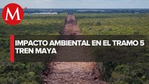 Validaron la manifestación de impacto ambiental para tramo 5 de Tren Maya