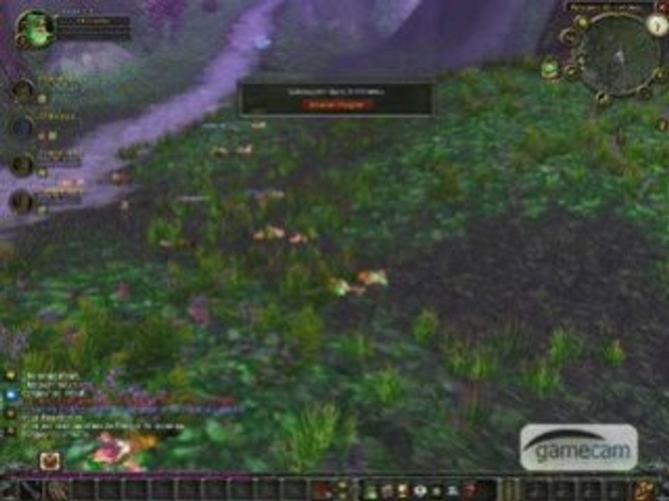 Course gnome aurore/vengeur