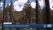 Officials test ground soil in burn scars to assess flood risk in Flagstaff area