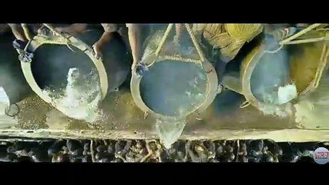 Shamshera official trailer /Ranbir Kapoor /Sanjay Dutt /vaani Kapoor/karan Malhotra 2022. Shamshera official teaser /Ranbir Kapoor /Sanjay Dutt /vaani Kapoor /karan Malhotra /22 july 2022