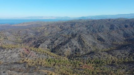Marmaris'teki orman yangını, 5'inci gününde