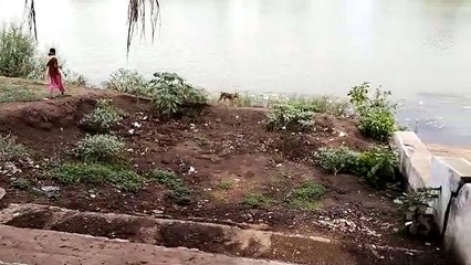 देखिए वीडियो :- ऐतिहासिक घाट हो गया मिट्टी में दफन हुआ