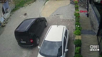 Vitesi boşta unutulan aracın ırmağa düşme anı kamerada