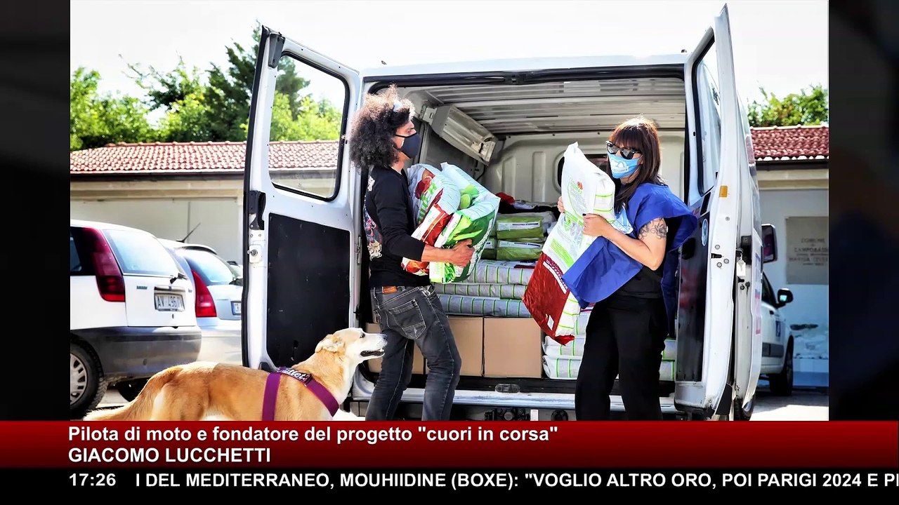 In moto contro l'abbandono: il progetto "cuori in corsa" | Bau Miao