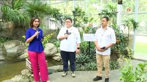 Menikmati Keindahan Anggrek di Griya Anggrek Kebun Raya Bogor Jadi Ide Wisata Akhir Pekan di Bogor