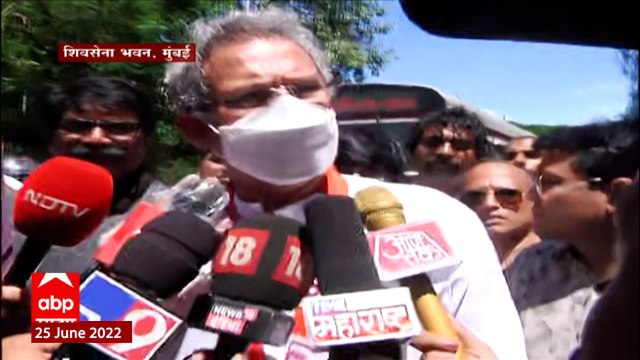 Anil Desai Shiv Sena : बैठकीत घेतलेले निर्णय निवडणूक आयोगाला कळवले जातील ABP Majha