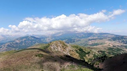 Huzura kavuşan yayla ve meralar artık göçerleri ağırlıyor