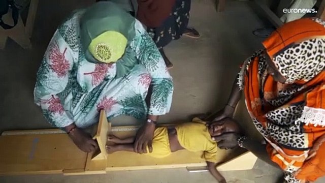 Россия одна несёт ответственность за глобальный продовольственный кризис