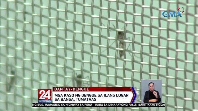 Mga kaso ng dengue sa ilang lugar sa bansa, tumataas | 24 Oras Weekend