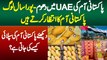 UAE Me Pakistani Mangoes Ki Dhoom - Pura Sal Log Pakistani Mangoes Ka Intezar Karte Hai