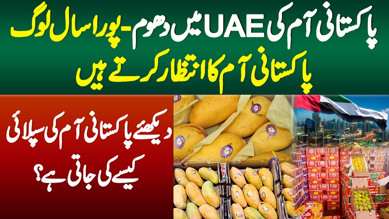 UAE Me Pakistani Mangoes Ki Dhoom - Pura Sal Log Pakistani Mangoes Ka Intezar Karte Hai