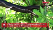 Tunceli’de dev yılan paniği