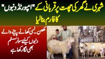 Shehri Ne Ghar Ki Chat (Roof) Per Qurbani K Imported Dumbo Ka Farm Bana Liya