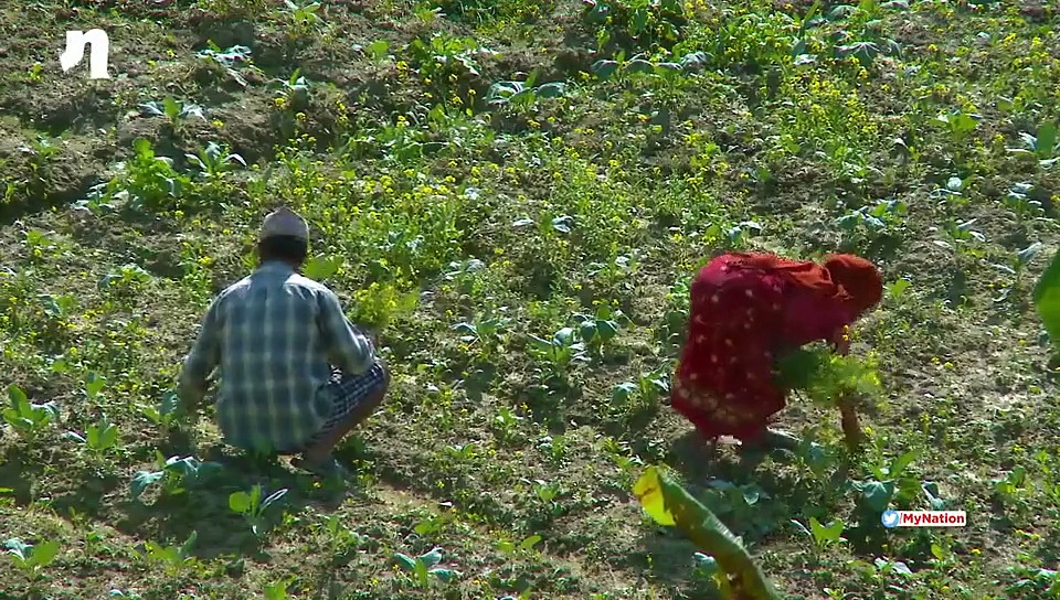 Lockdown के बीच मोदी सरकार ने किसानों के लिए किया बड़ा ऐलान