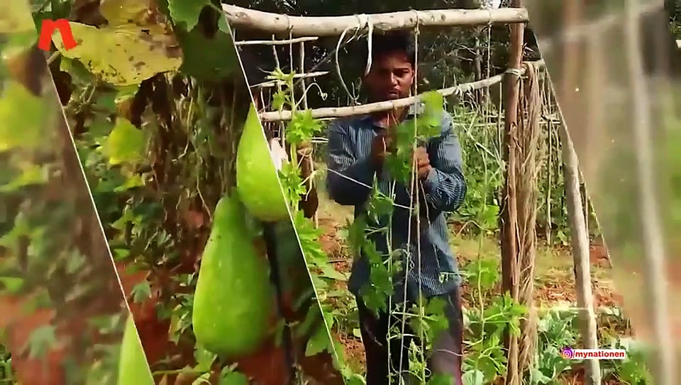 The Good Fight: 98-year-old woman with one eye makes masks, distributes them for free