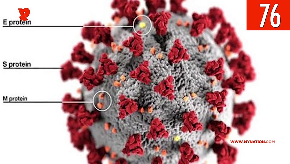 From Karnataka-Kerala calling truce to govt considering lockdown extension, watch MyNation in 100 seconds