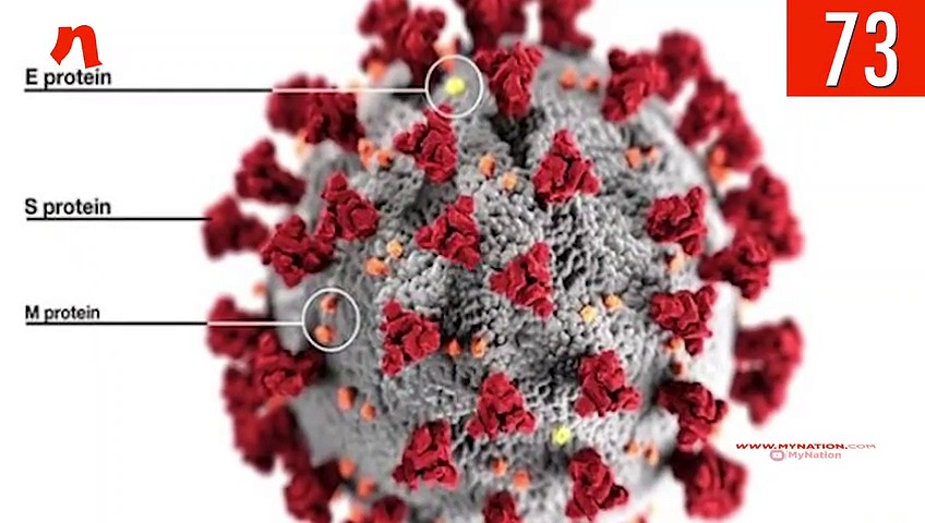 From FIR against Tablighi organiser Saad to Kerala govt’s salary challenge, watch MyNation in 100 seconds
