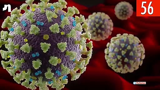 From setback for Kamal Nath government to Indian  women  umpires making it to ICC panel, watch MyNation in 100