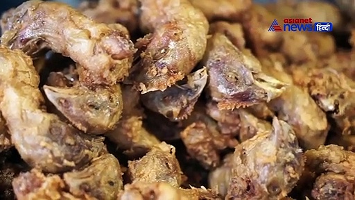 आपके पालतू कुत्ते के लिए बेहतर खाना खरीदते समय ध्यान रखें यह खास बातें