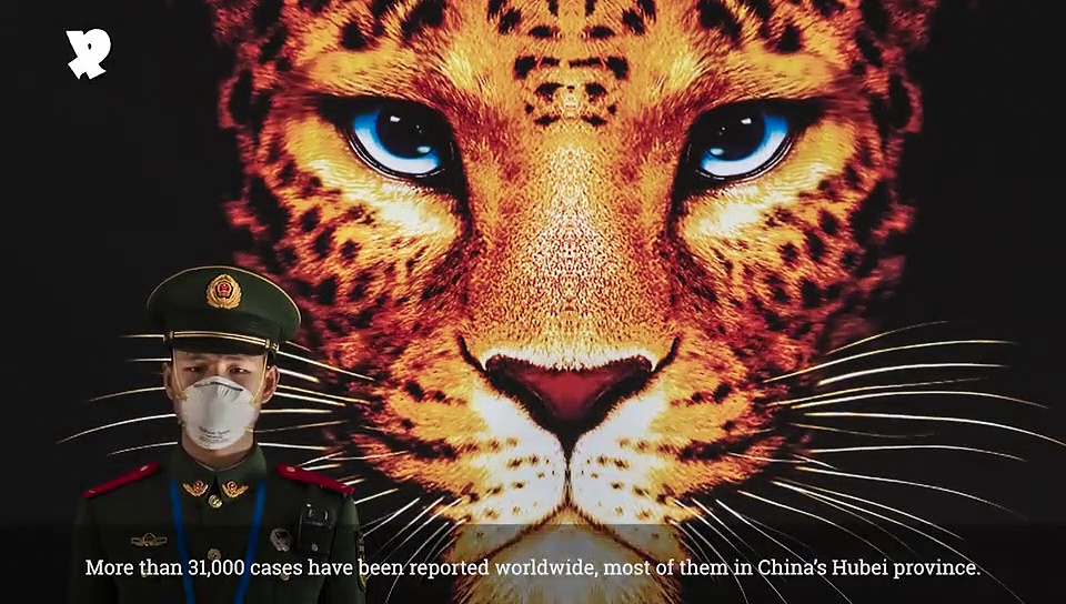 In Pics: All You Need To Know About Coronavirus, Its Symptoms And Risks